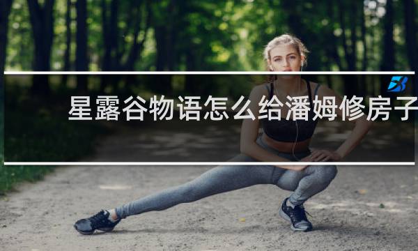 星露谷物语怎么给潘姆修房子