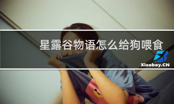 星露谷物语怎么给狗喂食