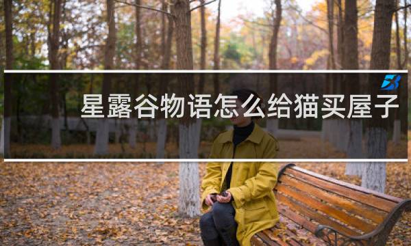 星露谷物语怎么给猫买屋子