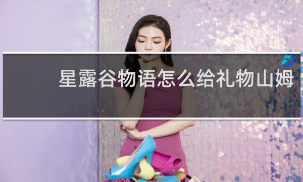 星露谷物语怎么给礼物山姆