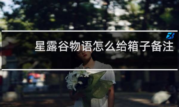 星露谷物语怎么给箱子备注