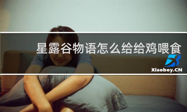 星露谷物语怎么给给鸡喂食