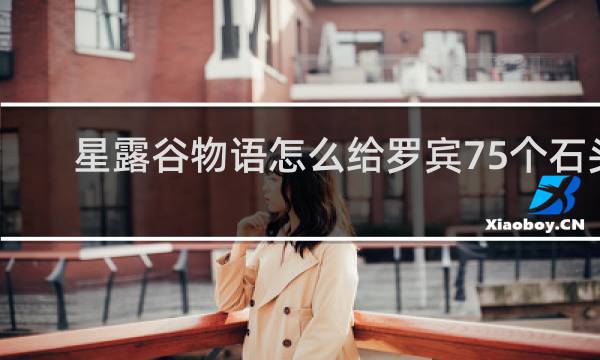 星露谷物语怎么给罗宾75个石头