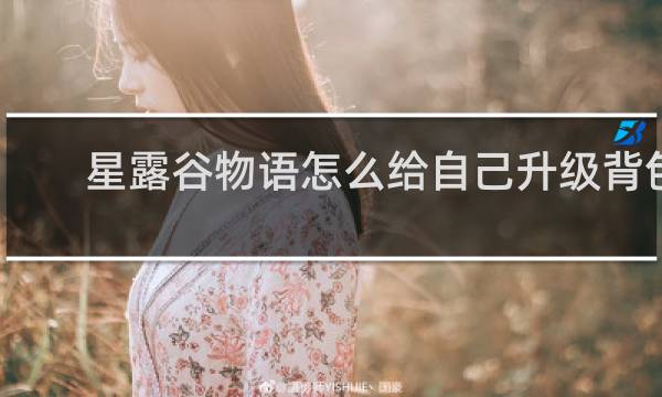 星露谷物语怎么给自己升级背包