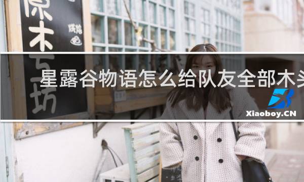 星露谷物语怎么给队友全部木头