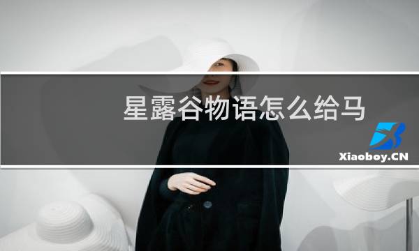 星露谷物语怎么给马