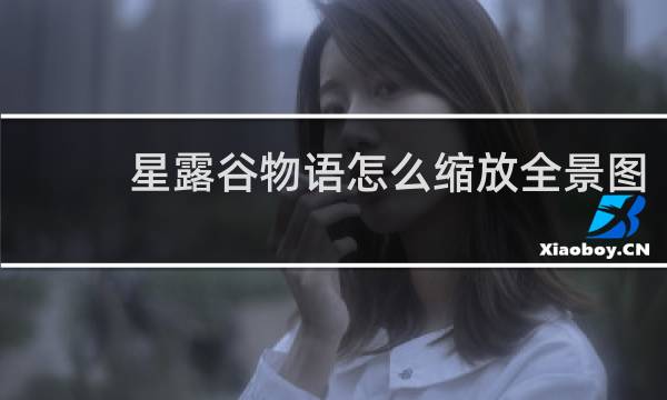 星露谷物语怎么缩放全景图
