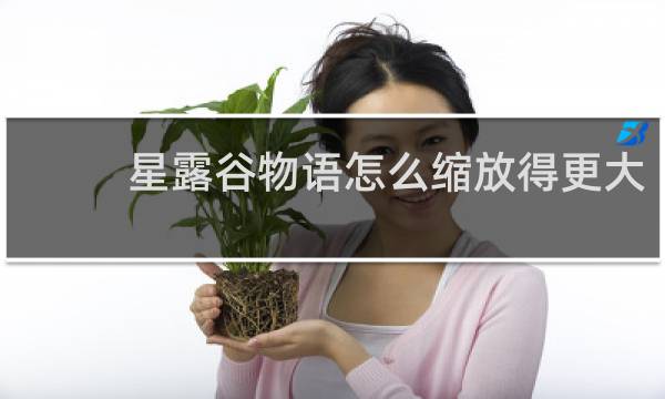 星露谷物语怎么缩放得更大