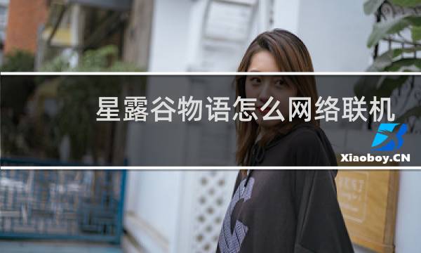星露谷物语怎么网络联机