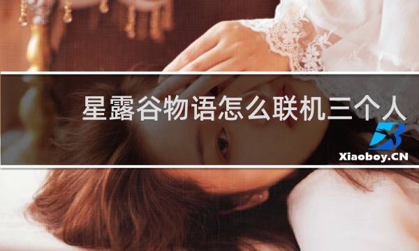 星露谷物语怎么联机三个人
