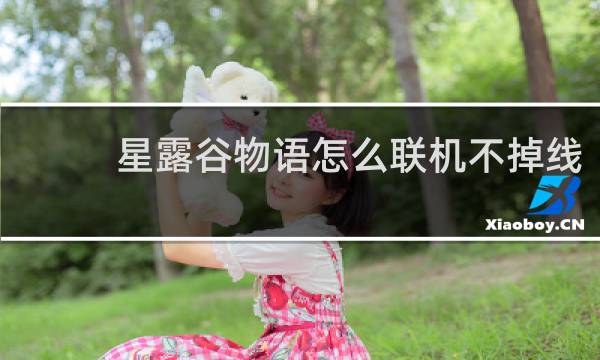 星露谷物语怎么联机不掉线