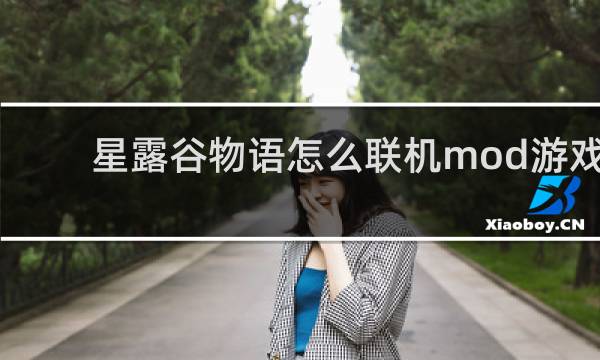 星露谷物语怎么联机mod游戏