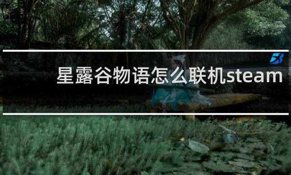 星露谷物语怎么联机steam