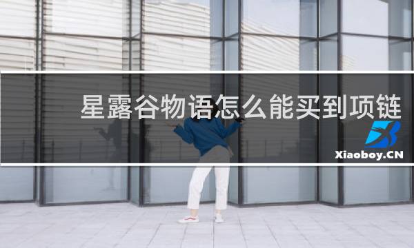 星露谷物语怎么能买到项链