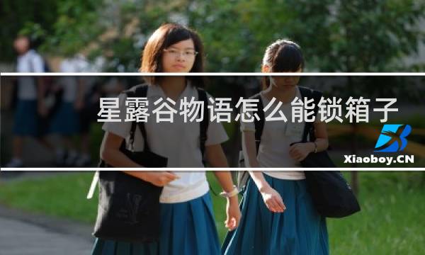 星露谷物语怎么能锁箱子