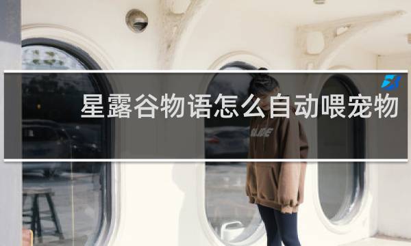 星露谷物语怎么自动喂宠物