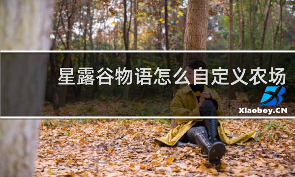 星露谷物语怎么自定义农场
