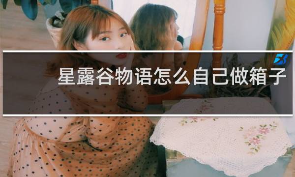 星露谷物语怎么自己做箱子