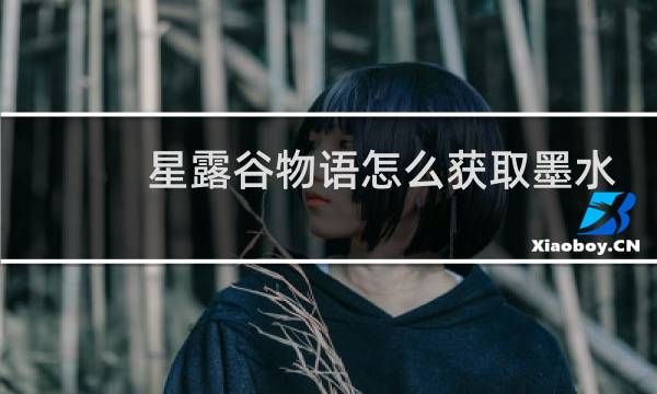 星露谷物语怎么获取墨水