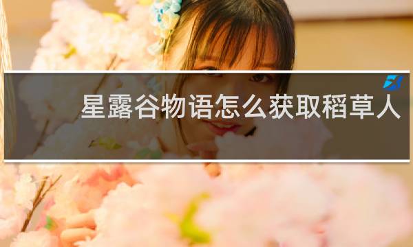 星露谷物语怎么获取稻草人