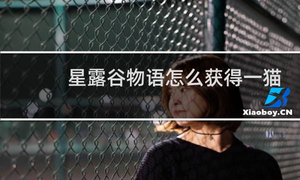 星露谷物语怎么获得一猫