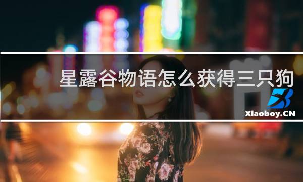 星露谷物语怎么获得三只狗