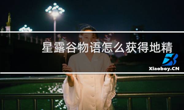 星露谷物语怎么获得地精