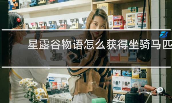 星露谷物语怎么获得坐骑马匹