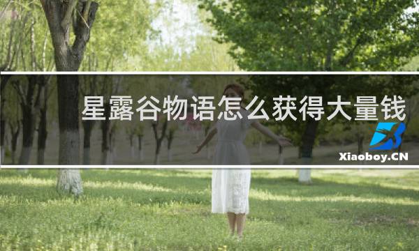 星露谷物语怎么获得大量钱