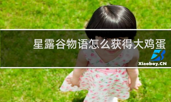 星露谷物语怎么获得大鸡蛋