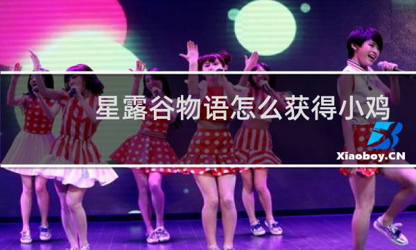 星露谷物语怎么获得小鸡