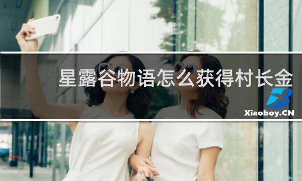 星露谷物语怎么获得村长金