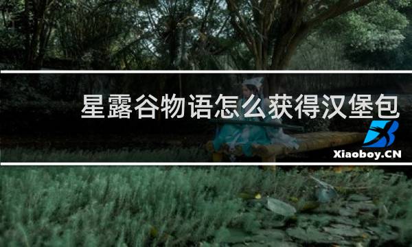 星露谷物语怎么获得汉堡包