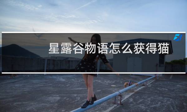 星露谷物语怎么获得猫
