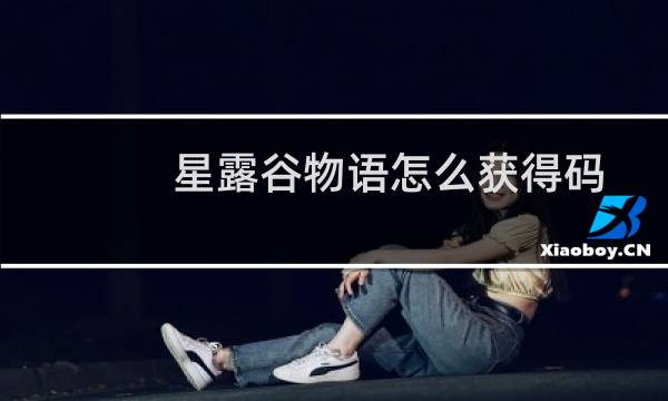 星露谷物语怎么获得码