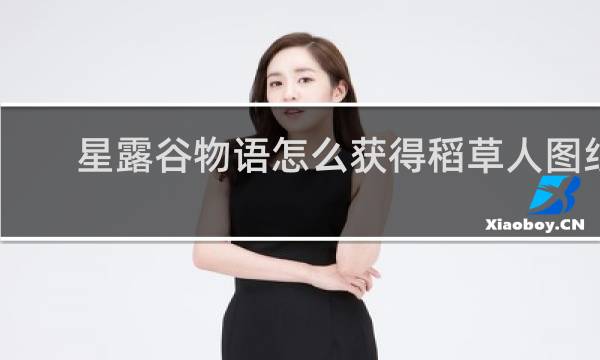 星露谷物语怎么获得稻草人图纸