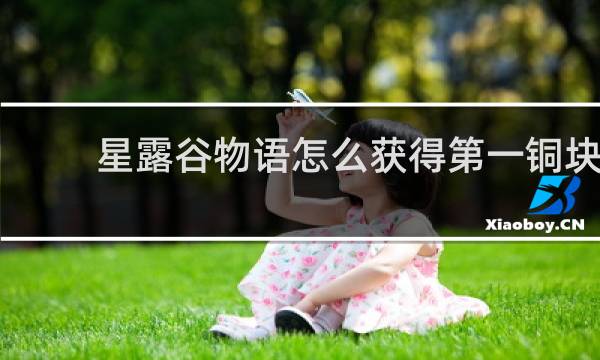 星露谷物语怎么获得第一铜块