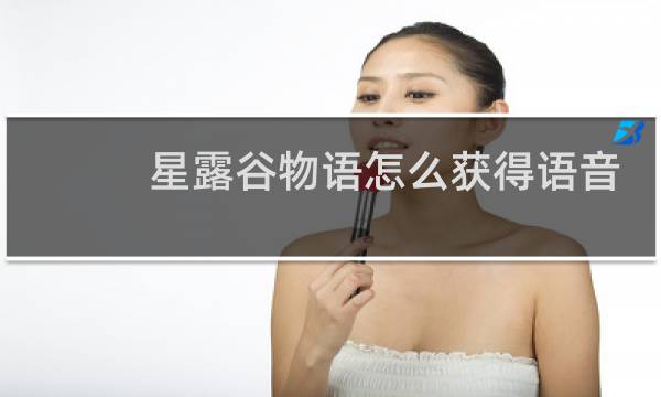 星露谷物语怎么获得语音
