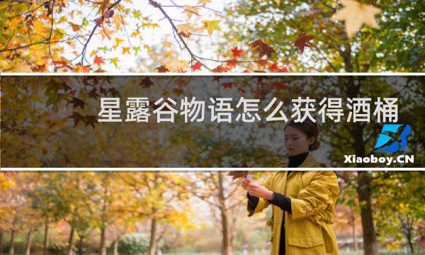 星露谷物语怎么获得酒桶