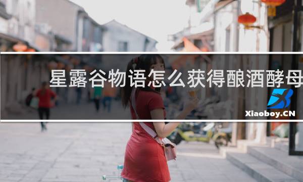 星露谷物语怎么获得酿酒酵母
