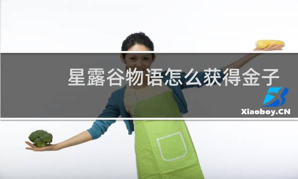 星露谷物语怎么获得金子