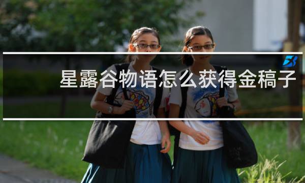 星露谷物语怎么获得金稿子