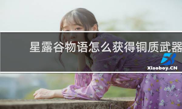 星露谷物语怎么获得铜质武器