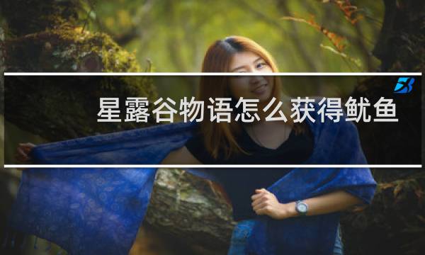 星露谷物语怎么获得鱿鱼
