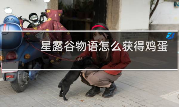 星露谷物语怎么获得鸡蛋