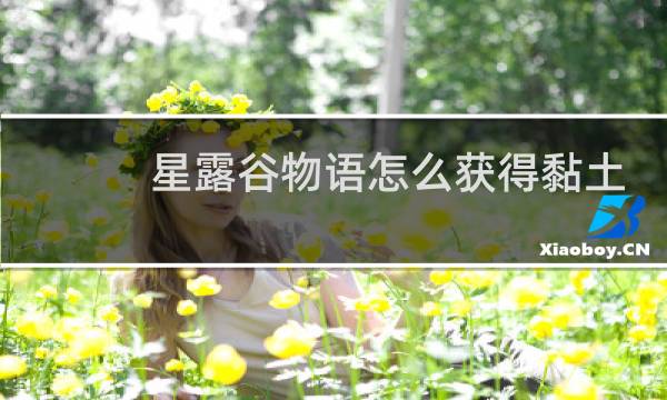 星露谷物语怎么获得黏土