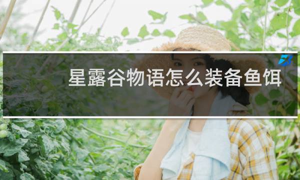 星露谷物语怎么装备鱼饵 ns