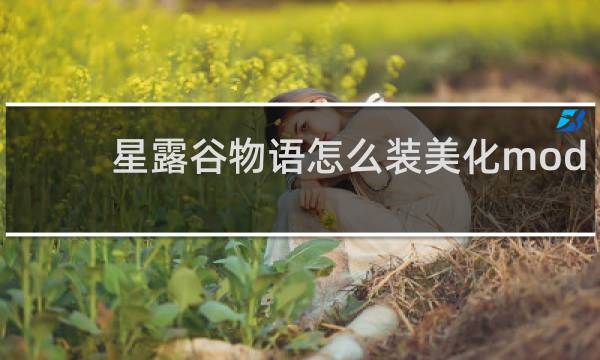 星露谷物语怎么装美化mod