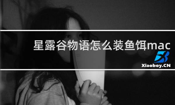 星露谷物语怎么装鱼饵mac