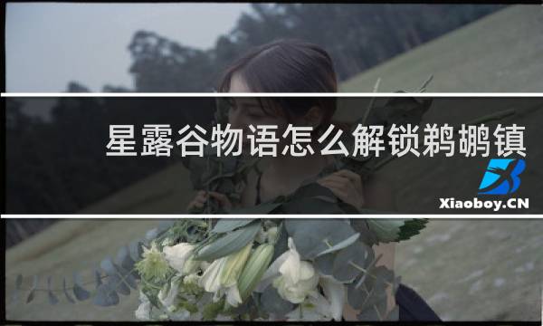 星露谷物语怎么解锁鹈鹕镇